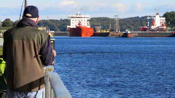 Heringsangeln im Herbst 2024 im Bereich Kiel, erste Eindrücke